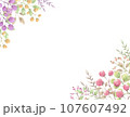 カラフルな実を付けた植物の背景素材 107607492