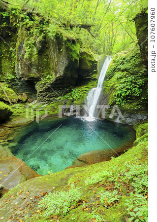 新緑とおしらじの滝(縦) 新緑とおしらじの滝(縦) 107607960