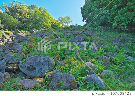 【吉部の大岩郷】 山口県宇部市西吉部大岩郷 【吉部の大岩郷】 山口県宇部市西吉部大岩郷 107608425