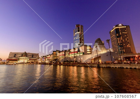 大阪府、さきしまコスモタワーとアジア太平洋トレードセンターの夕景 大阪府、さきしまコスモタワーとアジア太平洋トレードセンターの夕景 107608567