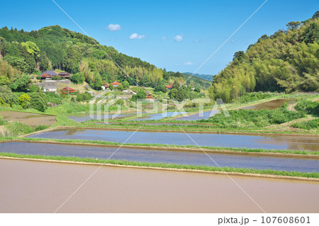【山奥にある棚田】 山口県宇部市西吉部 107608601