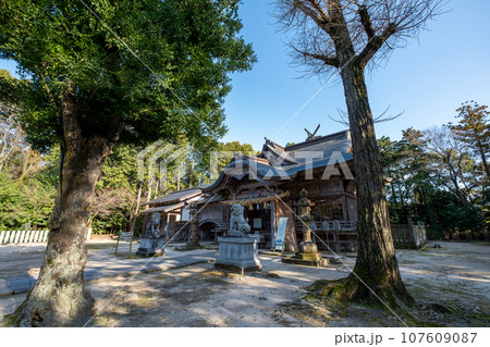 大神山神社(本社)拝殿 鳥取県米子市尾高 大神山神社(本社)拝殿 鳥取県米子市尾高 107609087