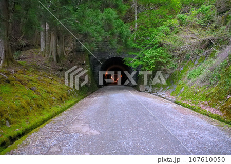 伊豆半島・中伊豆・旧天城トンネル(天城山隧道)の河津側の入口の眺め・静岡県河津町/伊豆町(8) 伊豆半島・中伊豆・旧天城トンネル(天城山隧道)の河津側の入口の眺め・静岡県河津町/伊豆町(8) 107610050