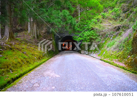 伊豆半島・中伊豆・旧天城トンネル(天城山隧道)の河津側の入口の眺め・静岡県河津町/伊豆町(9) 107610051