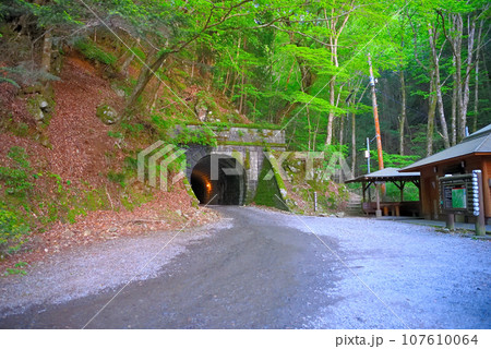 伊豆半島・中伊豆・旧天城トンネル(天城山隧道)の伊豆市側、北口園地の眺め・静岡県河津町/伊豆町(1) 伊豆半島・中伊豆・旧天城トンネル(天城山隧道)の伊豆市側、北口園地の眺め・静岡県河津町/伊豆町(1) 107610064