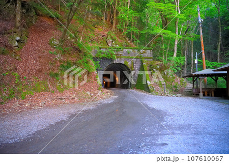 伊豆半島・中伊豆・旧天城トンネル(天城山隧道)の伊豆市側、北口園地の眺め・静岡県河津町/伊豆町(3) 伊豆半島・中伊豆・旧天城トンネル(天城山隧道)の伊豆市側、北口園地の眺め・静岡県河津町/伊豆町(3) 107610067