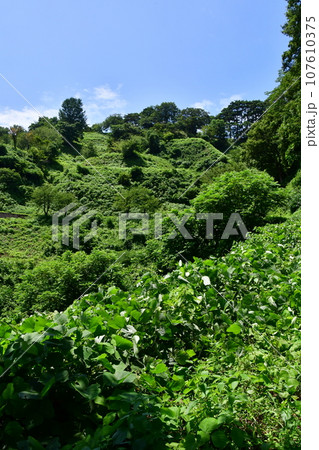 春日山城02 107610375