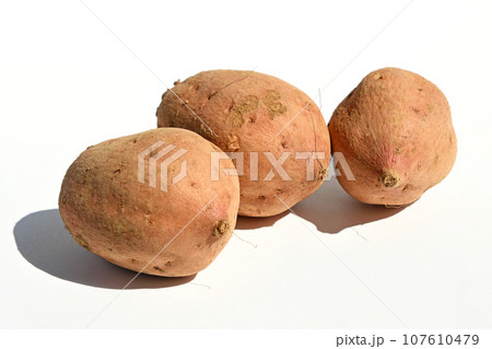 さつまいも（安納芋） 107610479