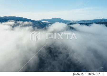 Fog and mountains in the morning forest Fog and mountains in the morning forest 107610495