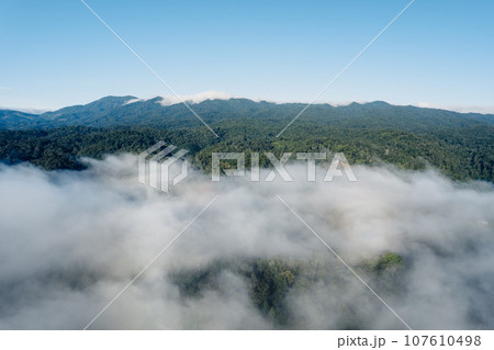 Fog and mountains in the morning forest Fog and mountains in the morning forest 107610498