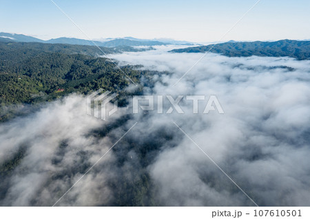 Fog and mountains in the morning forest 107610501