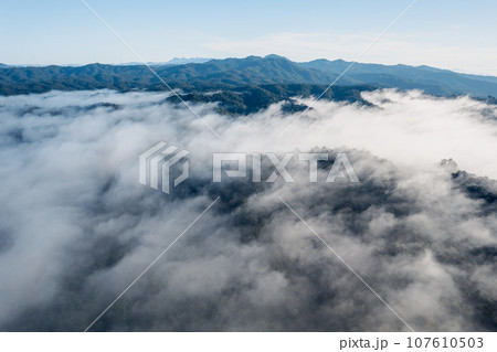 Fog and mountains in the morning forest Fog and mountains in the morning forest 107610503