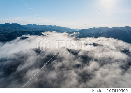 Fog and mountains in the morning forest Fog and mountains in the morning forest 107610506