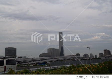 首都高速と花壇 107610586