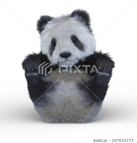 ジャイアントパンダ 107610773