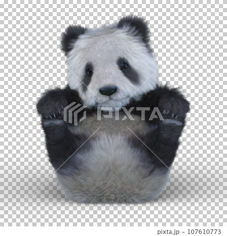 ジャイアントパンダ 107610773