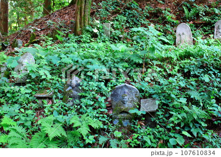安宮神社　　石仏群　　　信州の神社仏閣 107610834