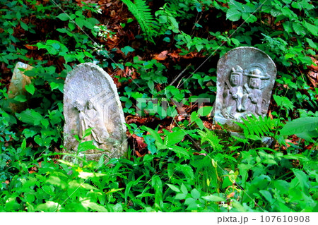 安宮神社 石仏群 信州の神社仏閣 安宮神社 石仏群 信州の神社仏閣 107610908