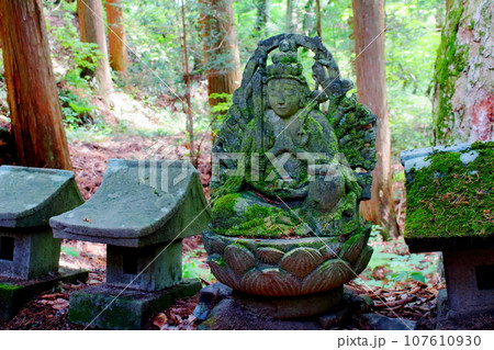 安宮神社　　石仏群　　信州の神社仏閣 107610930