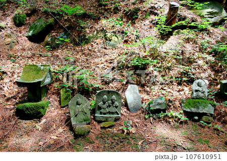 安宮神社 石仏群 信州の神社仏閣 安宮神社 石仏群 信州の神社仏閣 107610951