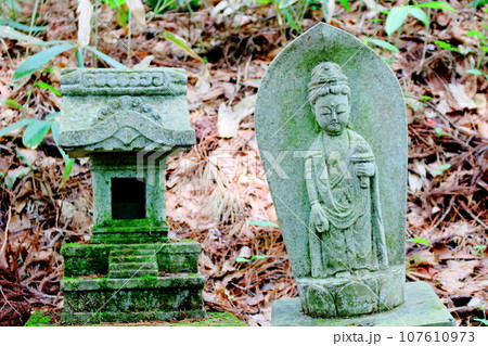 安宮神社 石仏群 信州の神社仏閣 安宮神社 石仏群 信州の神社仏閣 107610973