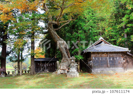 信州の神社仏閣 107611174