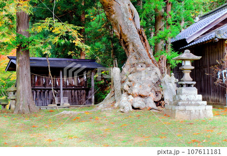 信州の神社仏閣 信州の神社仏閣 107611181