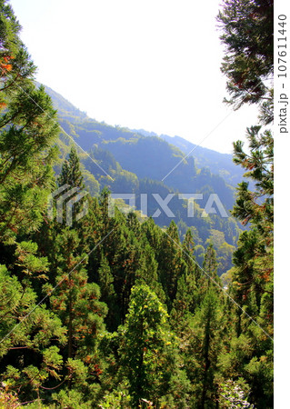 信州の山々 信州の山々 107611440