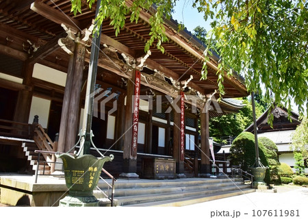 南足柄市　大雄山最乗寺の本堂と樹木 107611981