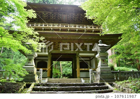 南足柄市　大雄山最乗寺の三門と参道 107611987