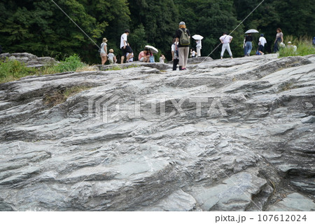 《埼玉県》秩父郡長瀞町 107612024