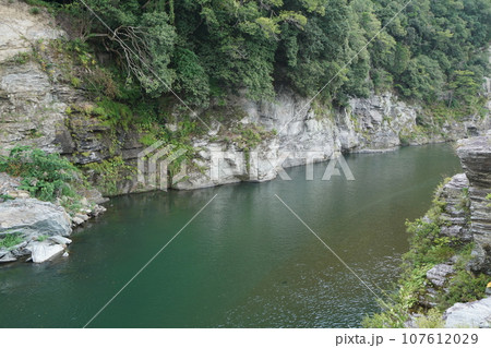 《埼玉県》秩父郡長瀞町 107612029
