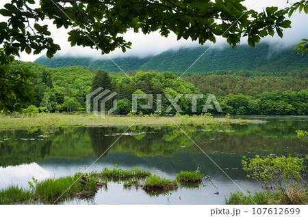 夏の空と鉄塔のある風景 夏の空と鉄塔のある風景 107612699