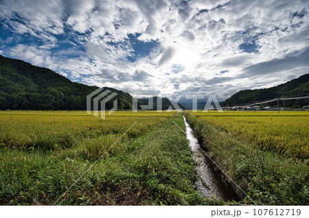 夏の空と鉄塔のある風景 夏の空と鉄塔のある風景 107612719