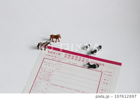 会社法人用 印鑑証明書及び登記事項証明書交付申請書 牛と馬のフィギュア 会社法人用 印鑑証明書及び登記事項証明書交付申請書 牛と馬のフィギュア 107612897