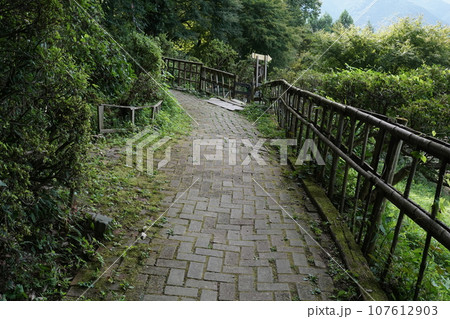 山中の道(埼玉県秩父郡長瀞町宝登山) 山中の道(埼玉県秩父郡長瀞町宝登山) 107612903