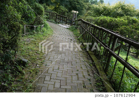 山中の道(埼玉県秩父郡長瀞町宝登山) 山中の道(埼玉県秩父郡長瀞町宝登山) 107612904