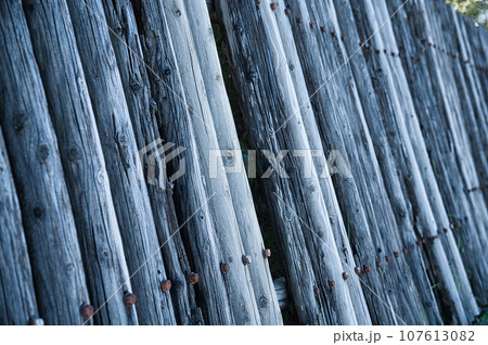 海の見える丘の上のキャンプ場 107613082