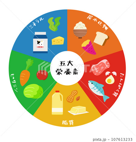 栄養素、タンパク質、炭水化物、脂質、ミネラル、ビタミンの色々な食品の円グラフイラスト素材 栄養素、タンパク質、炭水化物、脂質、ミネラル、ビタミンの色々な食品の円グラフイラスト素材 107613233