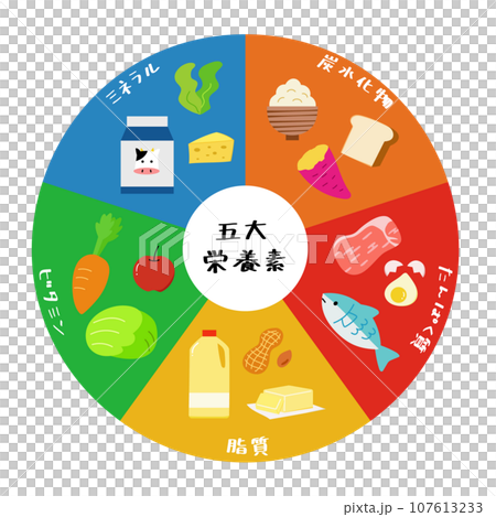栄養素、タンパク質、炭水化物、脂質、ミネラル、ビタミンの色々な食品の円グラフイラスト素材 栄養素、タンパク質、炭水化物、脂質、ミネラル、ビタミンの色々な食品の円グラフイラスト素材 107613233