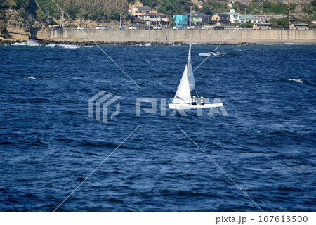 江ノ島　湘南大堤防からヨットの風景 107613500
