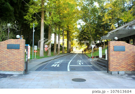 滋賀大学大津キャンパス教育学部正門 107613684