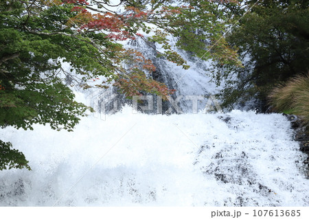 湯滝 奥日光 湯滝 奥日光 107613685