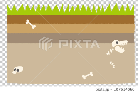 Bones and fossils strata frame background Bones and fossils strata frame background 107614060