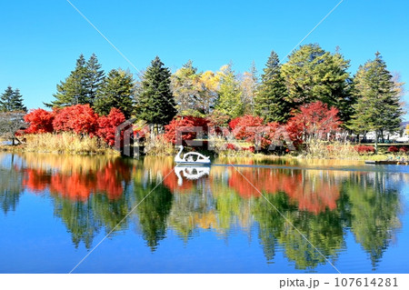 蓼科湖の紅葉 107614281