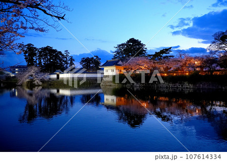 関東地方・小田原城・夜桜・学橋から眺める隅櫓と枝垂れ桜、お堀に映る見事な水鏡・神奈川県小田原市(3) 関東地方・小田原城・夜桜・学橋から眺める隅櫓と枝垂れ桜、お堀に映る見事な水鏡・神奈川県小田原市(3) 107614334