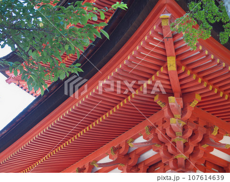 宮島　厳島神社　五重塔 107614639