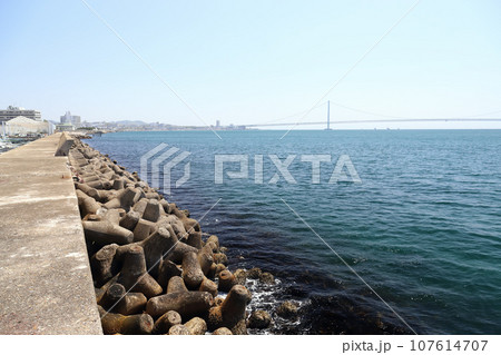 明石港から見る明石海峡大橋（兵庫県 明石市） 107614707