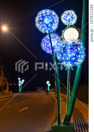 luminous dandelions on Da Lat street at night preparing the city for the flower festival 107615188