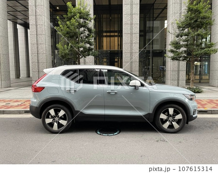 Volvo アマゾンブルー 107615314